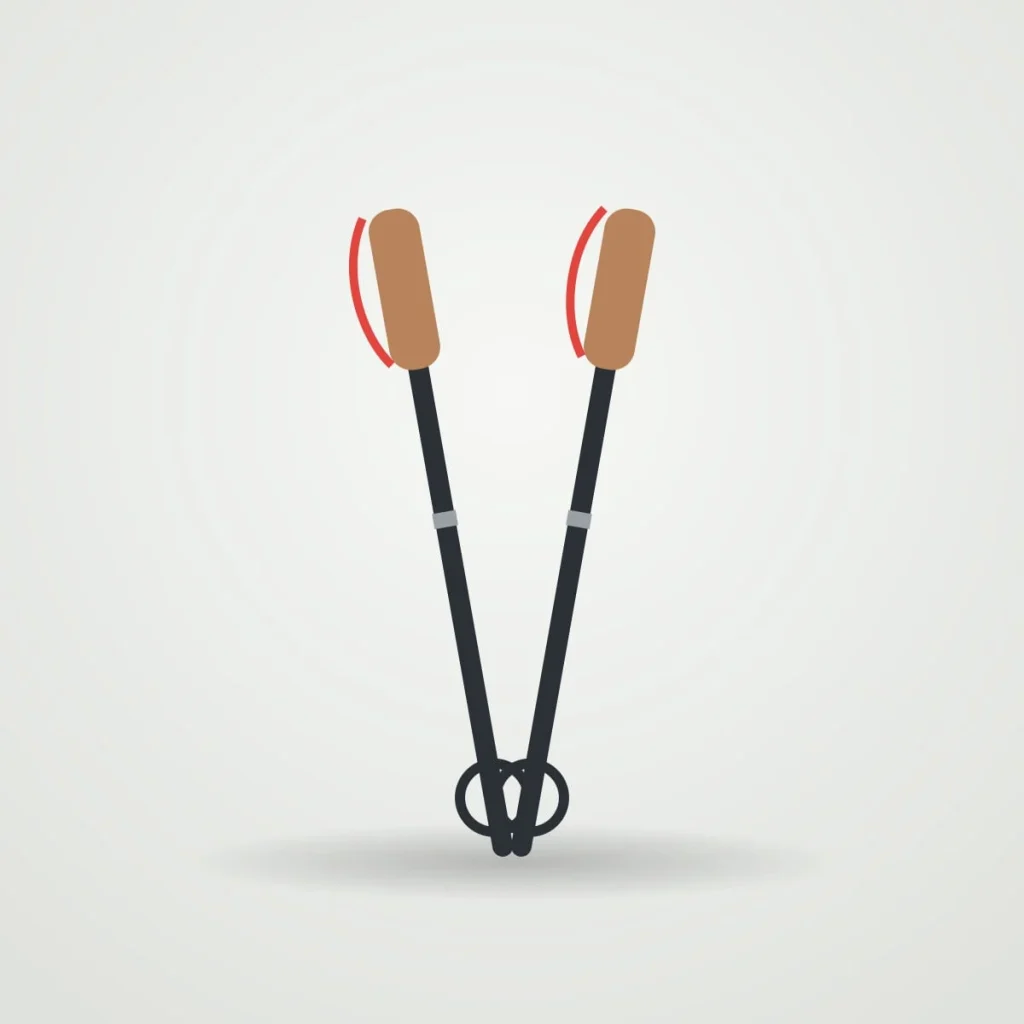 Carbon trekking poles, pair